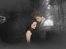 Twilight-Wallpapers-twilight-series-6740748-800-600