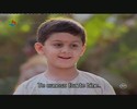 bscap541