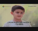 bscap566
