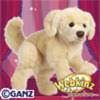 signature_golden_retriever[1]