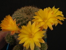 DSC08838