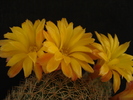 DSC08843