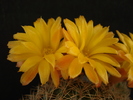 DSC08844