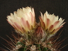 DSC08845