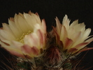 DSC08847