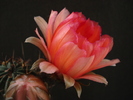 DSC08849