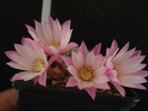 DSC08859