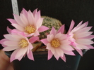 DSC08860