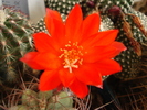 DSC08872