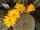 DSC08875