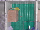 P1050859