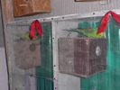 P1050860