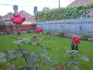 DSC06102