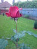 DSC06110