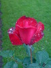 DSC06111