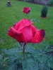 DSC06113