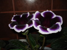 31.05.2010