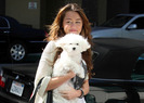 miley-cyrus-dog1