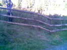 aproape 15 ari, imprejmuiti