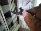 DSCN0807