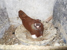 DSCN0809