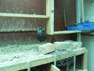 DSCN0820