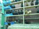 DSCN0821