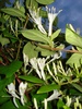 DSC04940
