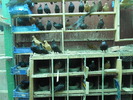 DSCN0833