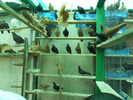 DSCN0836