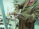 DSCN0837