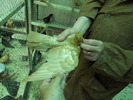 DSCN0838