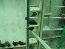 DSCN0841