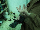 DSCN0848
