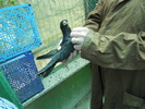 DSCN0849