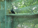 DSCN0850