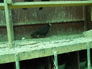 DSCN0851