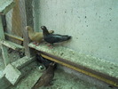 DSCN0852