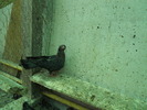 DSCN0853