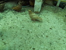 DSCN0854