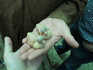 DSCN0855