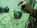 DSCN0857