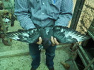 DSCN0860