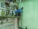 DSCN0861