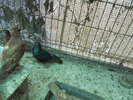 DSCN0866