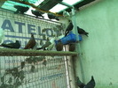 DSCN0867