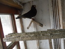 DSCN0874