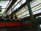 DSCN0875