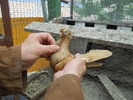 DSCN0884