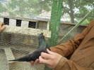 DSCN0889